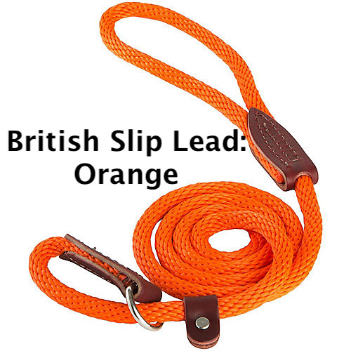 Dog slip sales leads uk